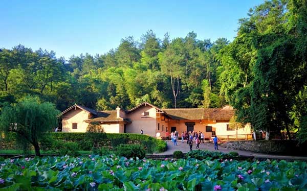 红色基因赋能现代治理：上海高校管理学院韶山研修纪实